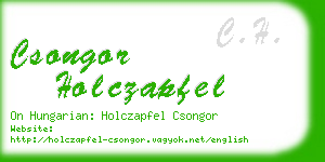 csongor holczapfel business card